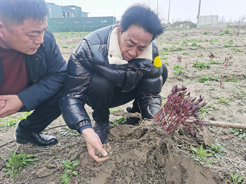 海安市慈善总会会长孙进基在基层村调研时要求加快星级村